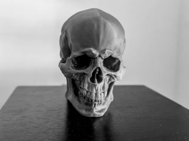 Skull Version 1.1