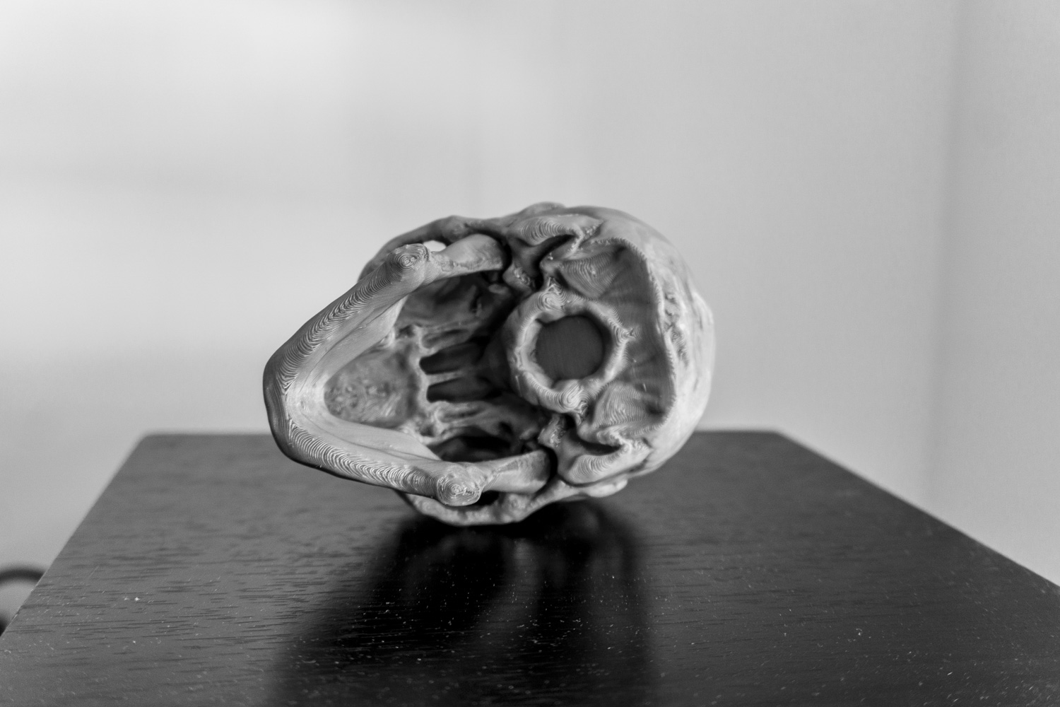 Miniatura 6 do modelo 3D Skull Version 1.1