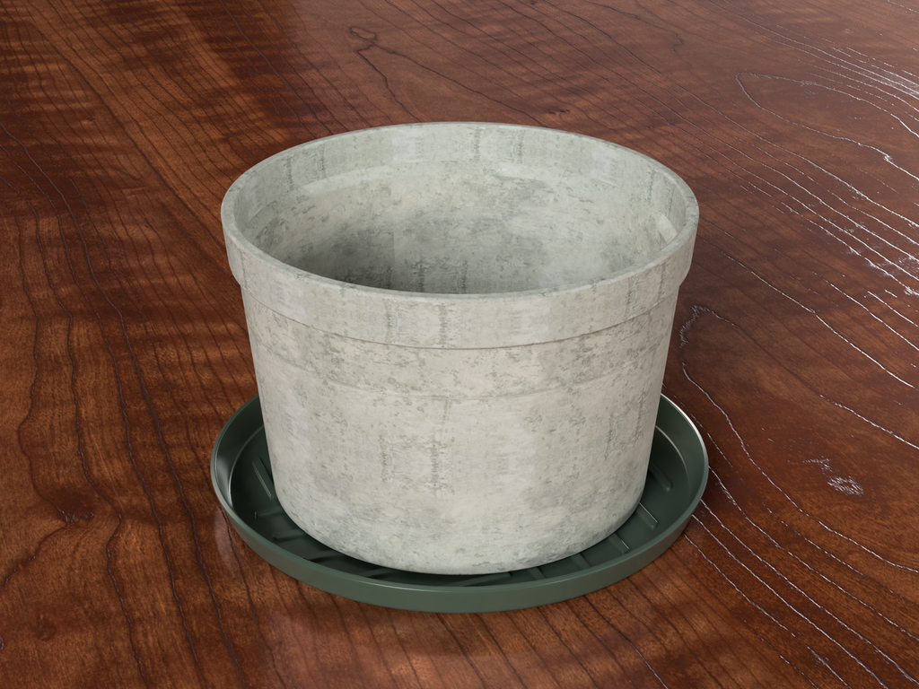 Saucer 6inch 15cm 3D model