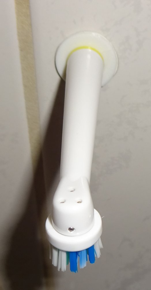 Zahnbürstenaufsatzhalter Oral-B-kompatibel