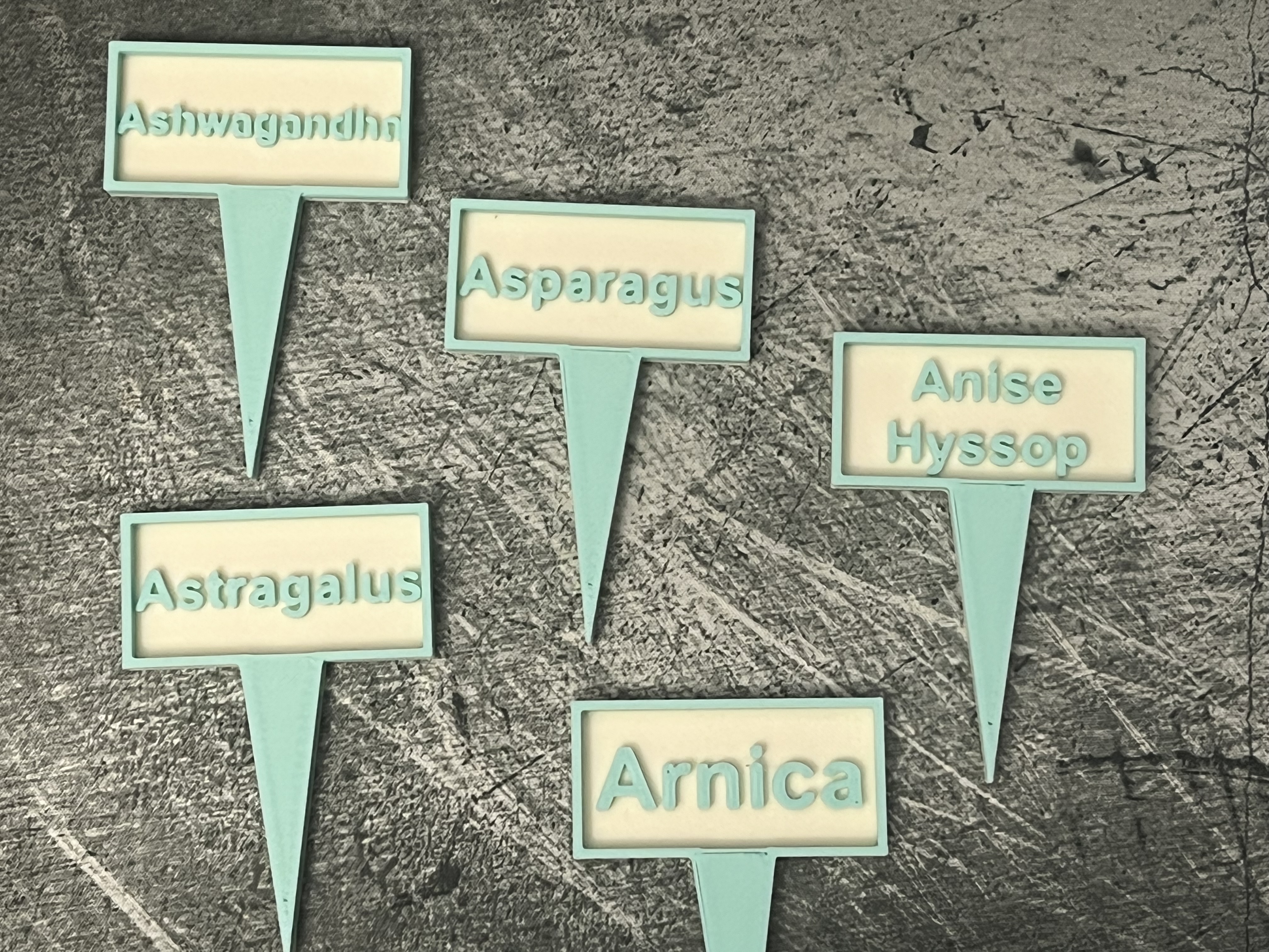 Garden Plant Identification Stakes