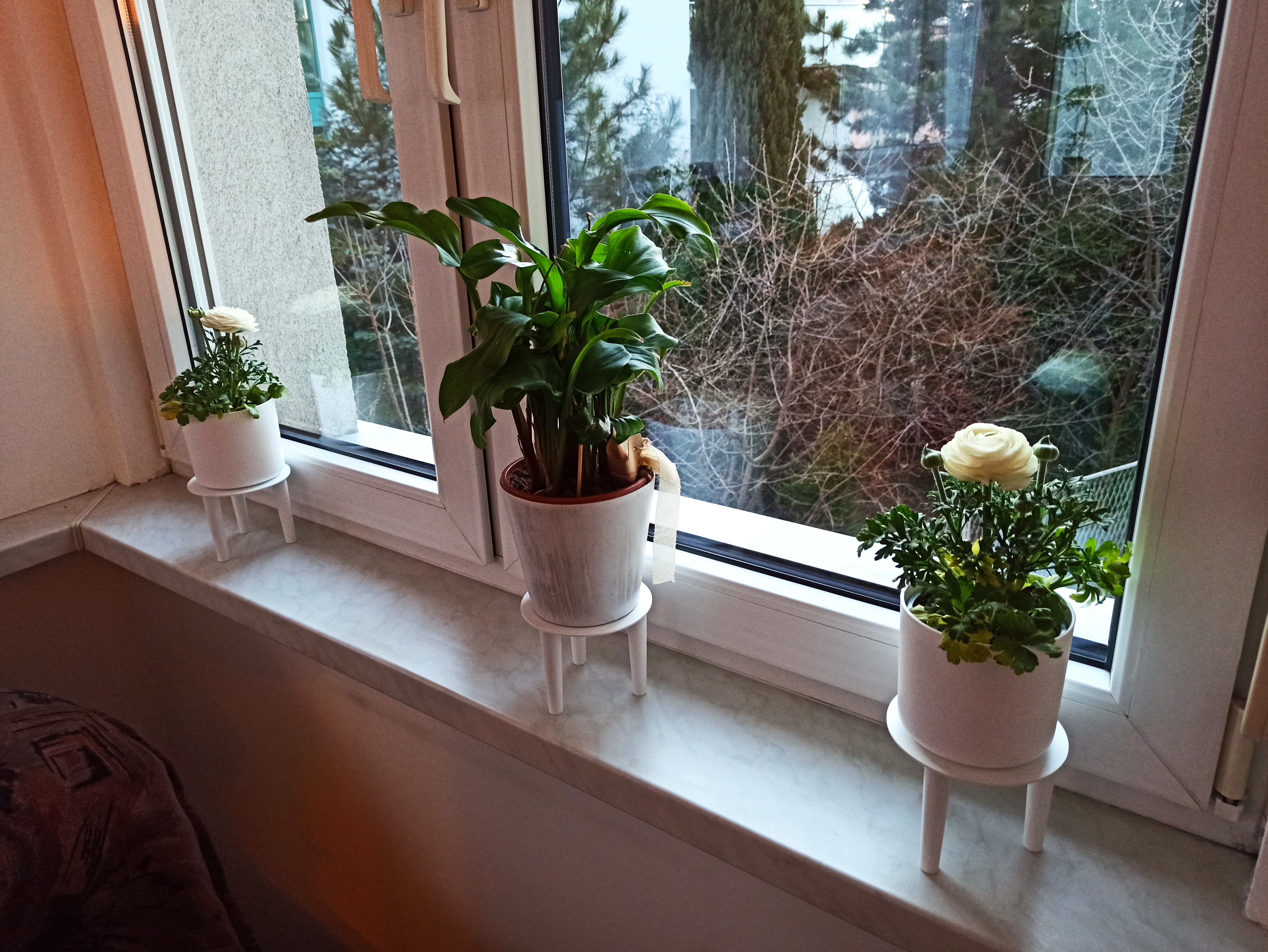 Plant stands (different sizes)