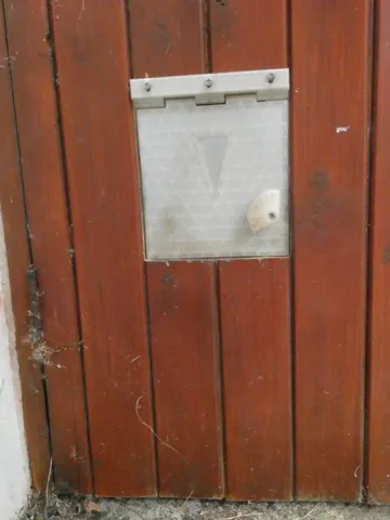 Cat Flap for Gate or Wooden Door