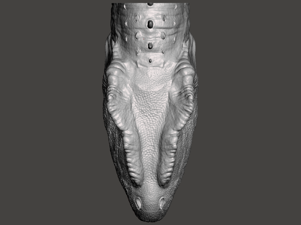 Miniatura 8 do modelo 3D Dinosaur #1