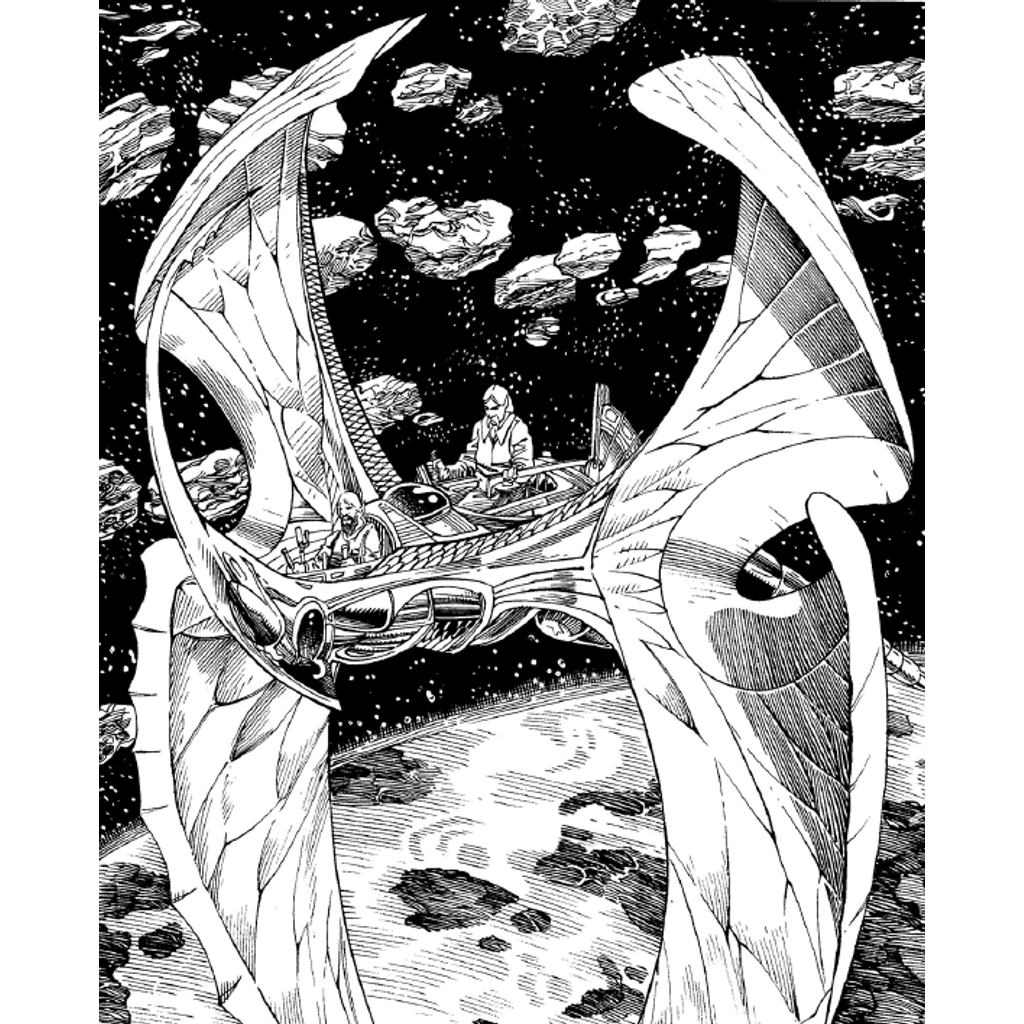 Elvish Flitter - Spelljammer - Experimental Prototype — thumbnail 5