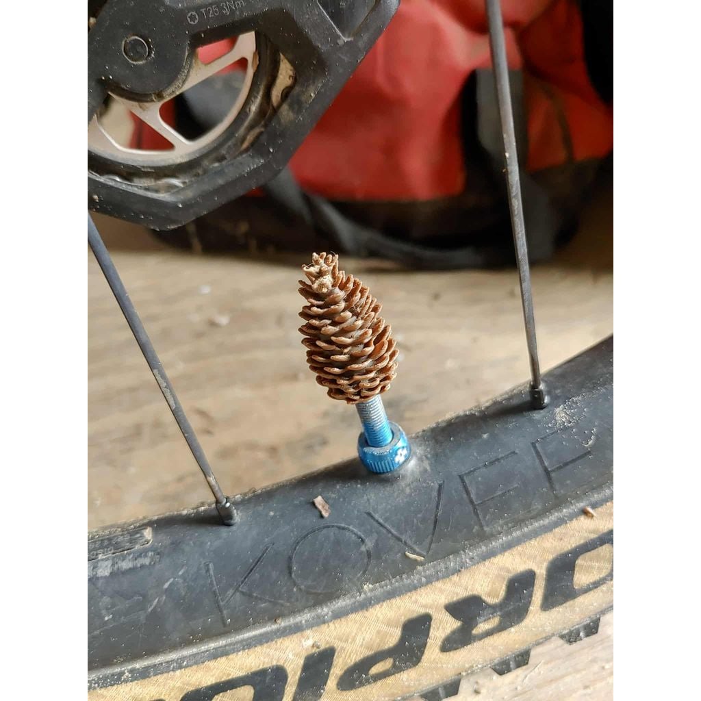 Pinecones Valve Cap Presta V2