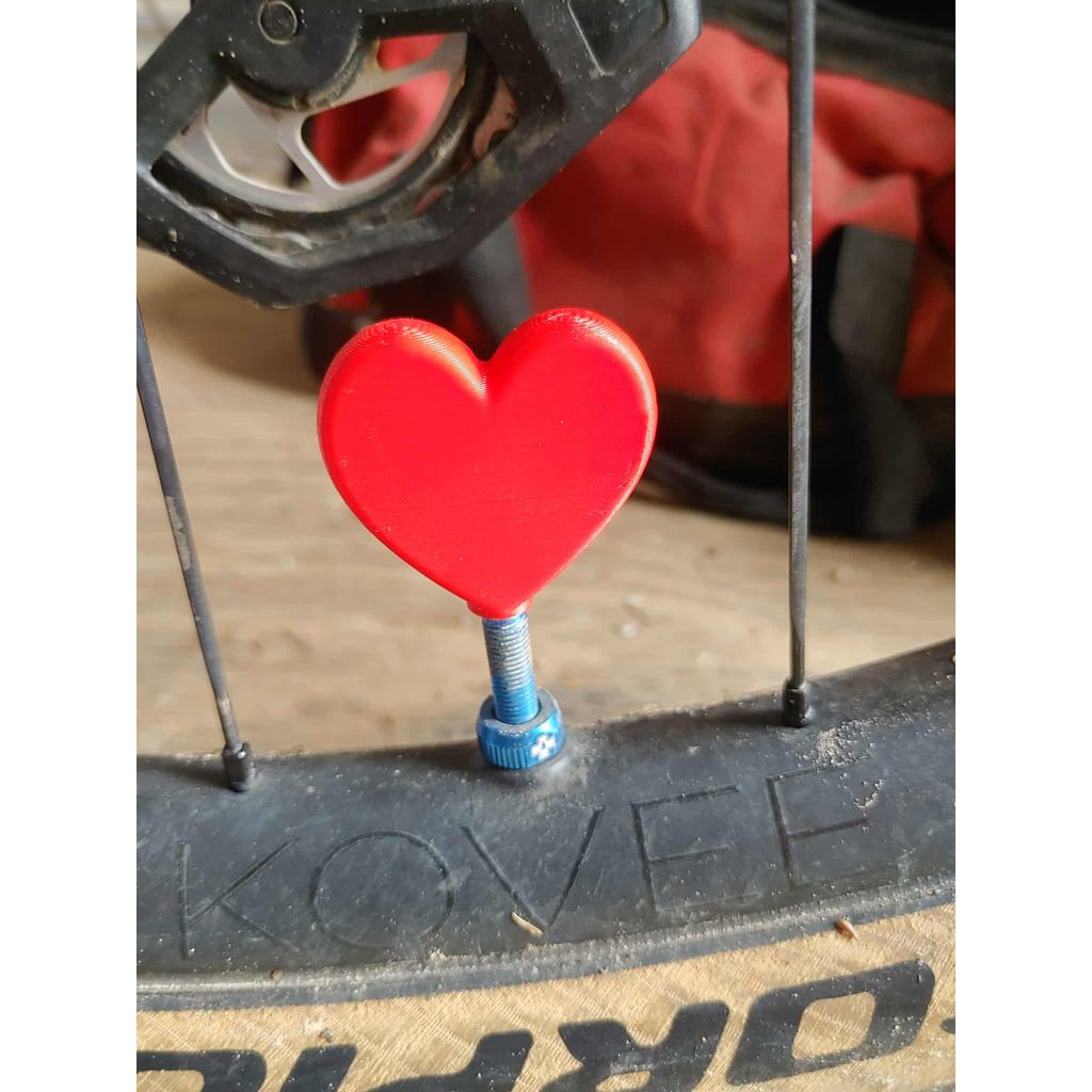 Heart Valve Cap Presta