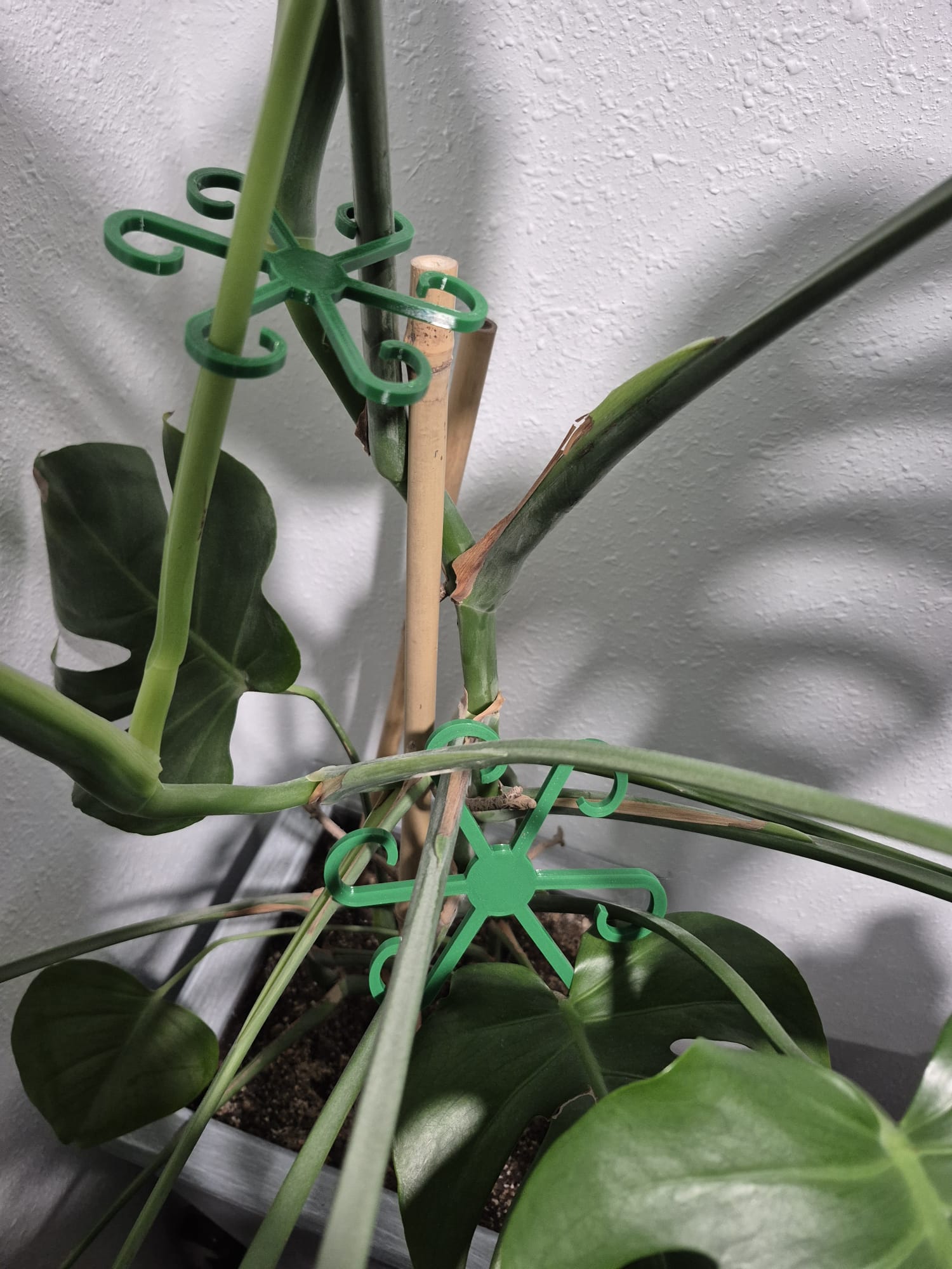 Plant Support