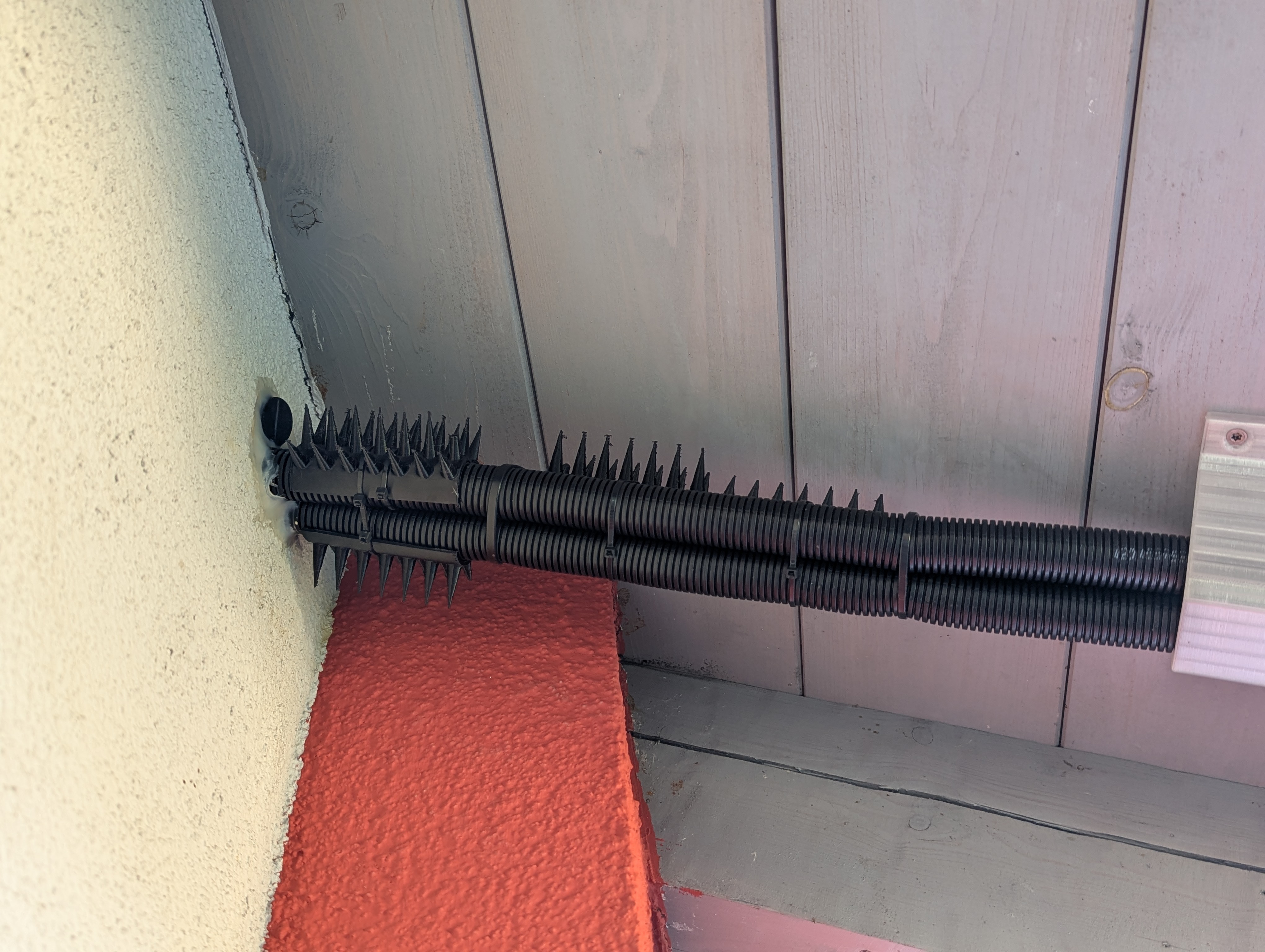 Bird Spikes Ø24 tube