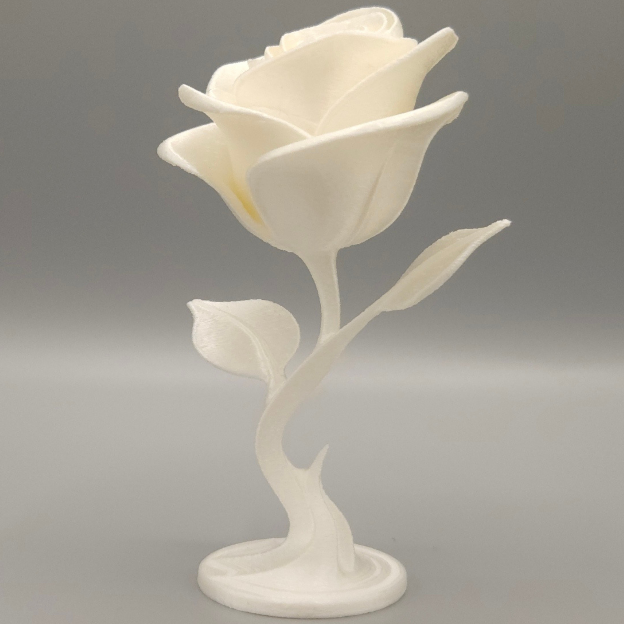 Miniatura 3 do modelo 3D Eternal Rose
