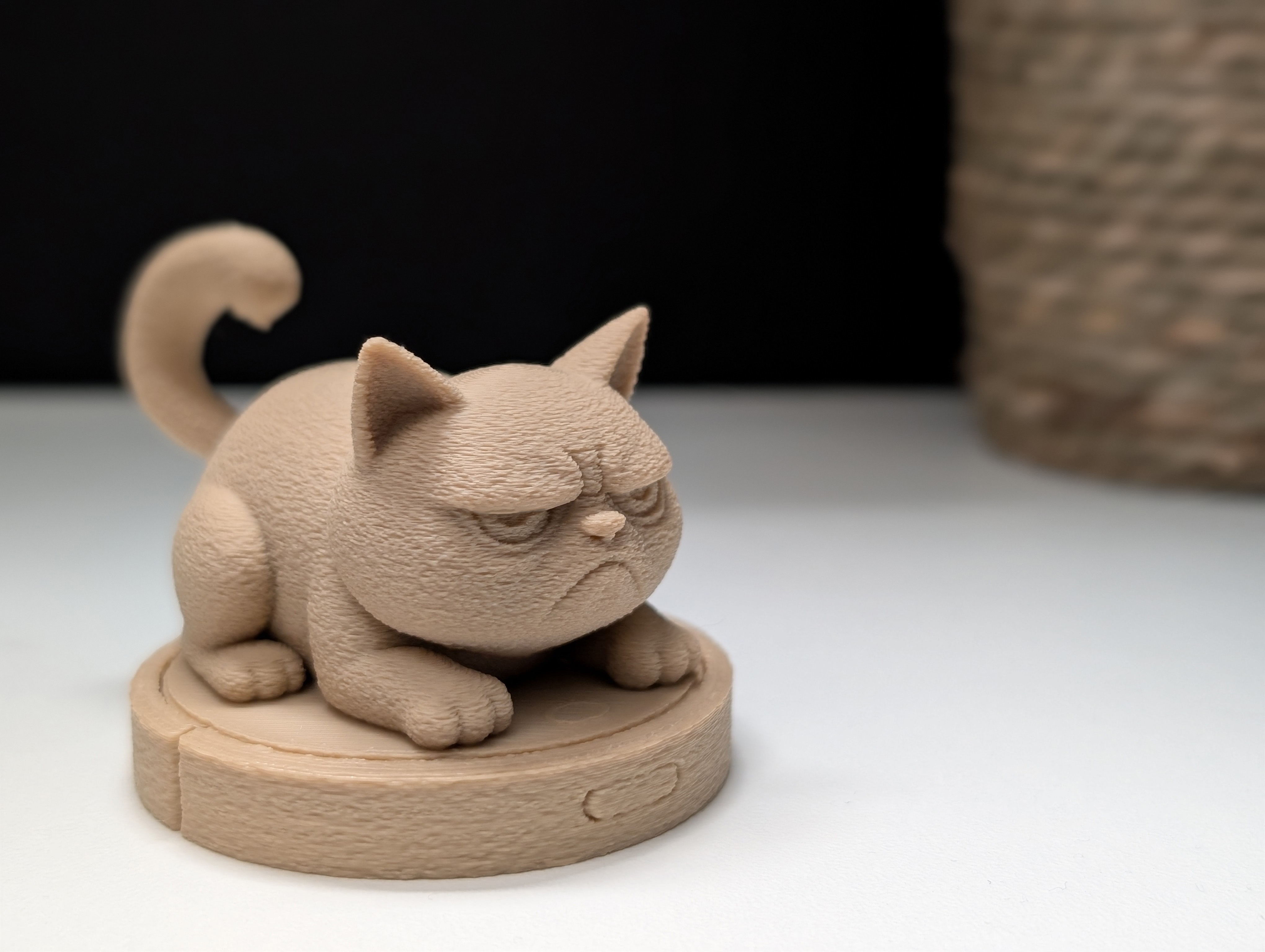 Miniatura 3 do modelo 3D Grumpy Cat on a Roomba