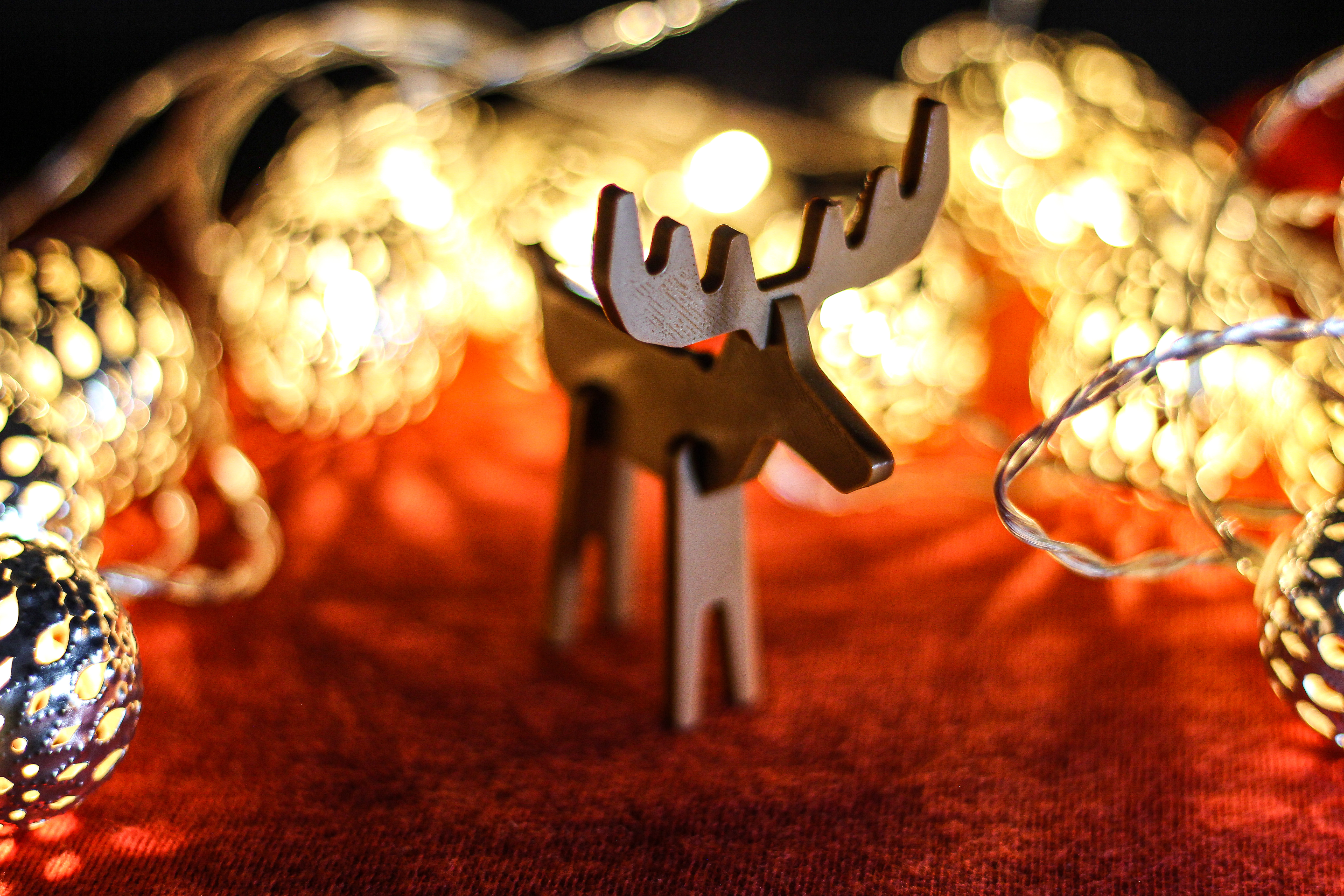 Reindeer & Rudolph — thumbnail 4