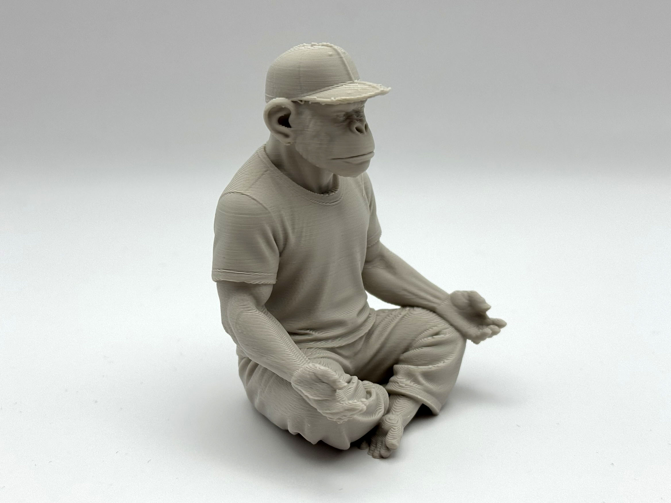 Miniatura 2 do modelo 3D Zen Ape