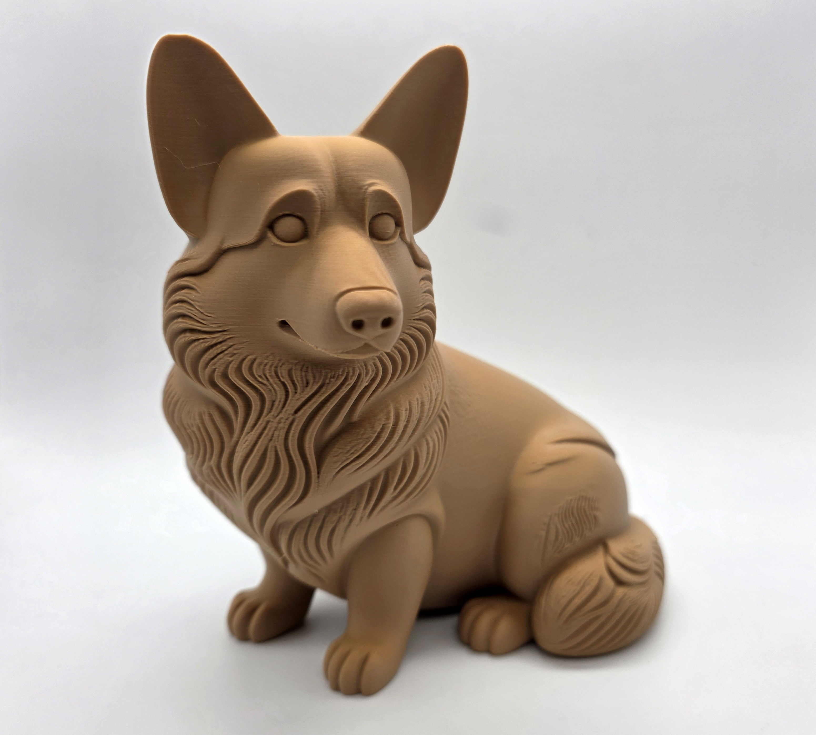 Sitting Corgi