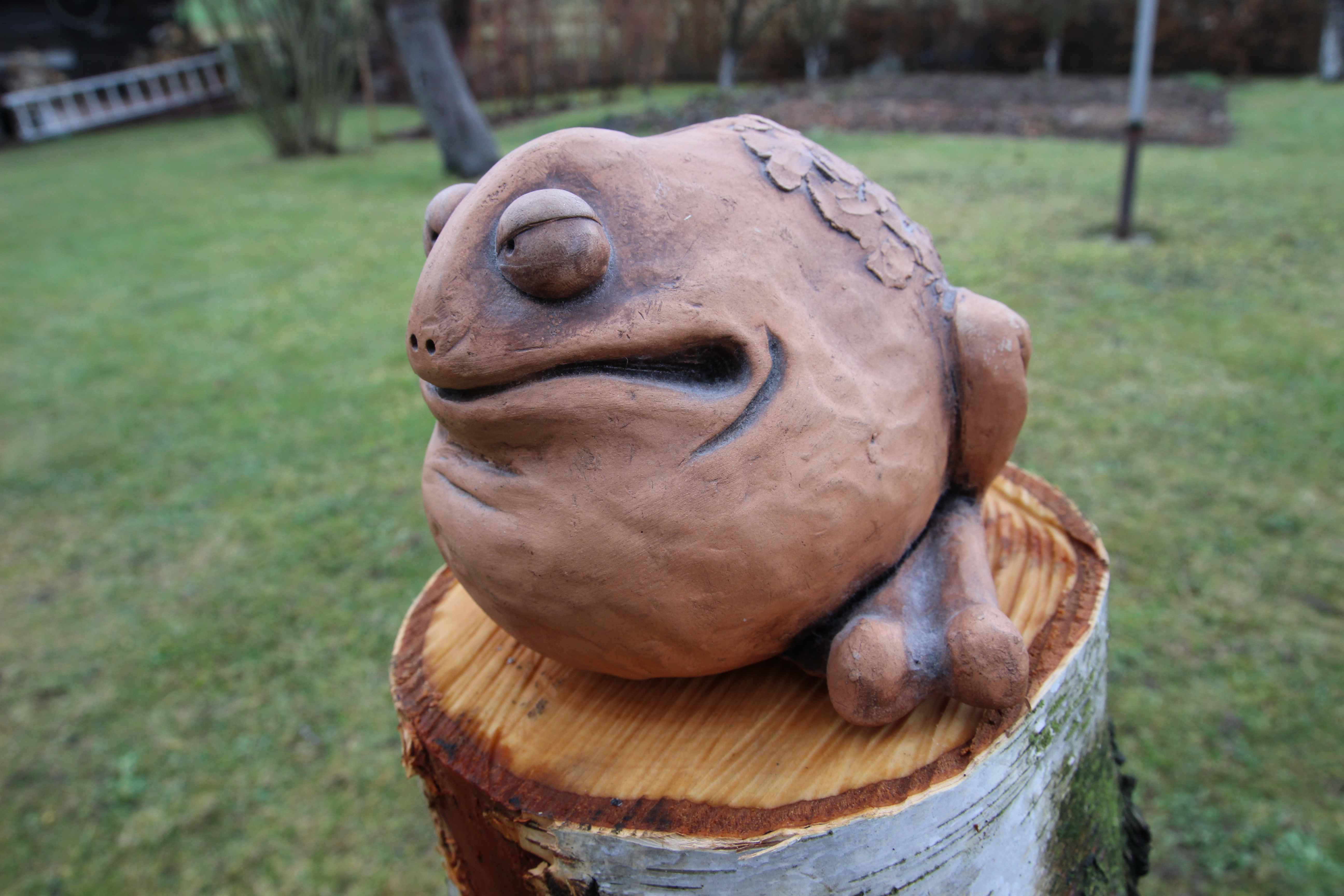 Miniatura 3 do modelo 3D Frog - photogrammetry scan