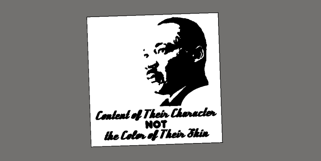 Content of Their Character