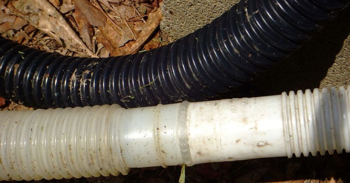 1.25" Pool Hose Coupler by rebeltaz Download free STL model