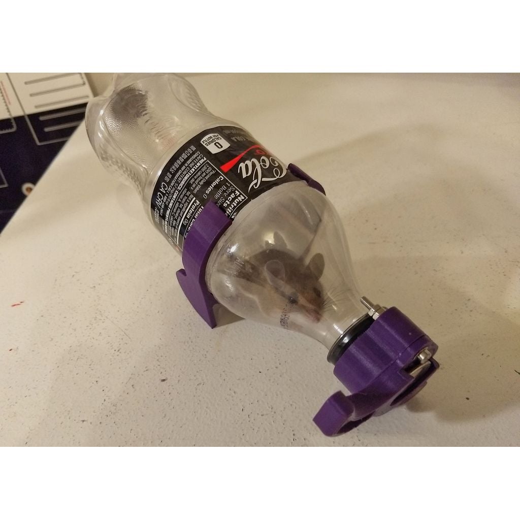 Bottle Mouse Trap