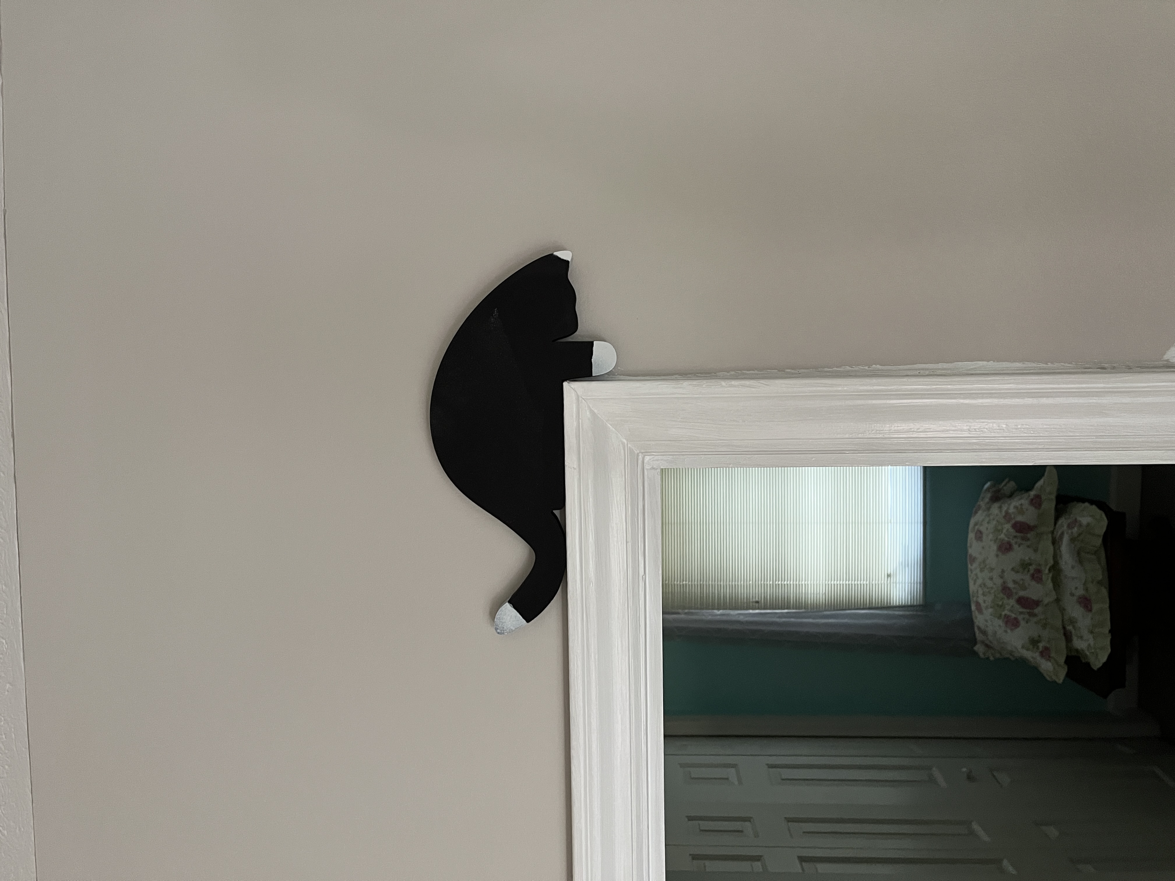 Cat door watchers