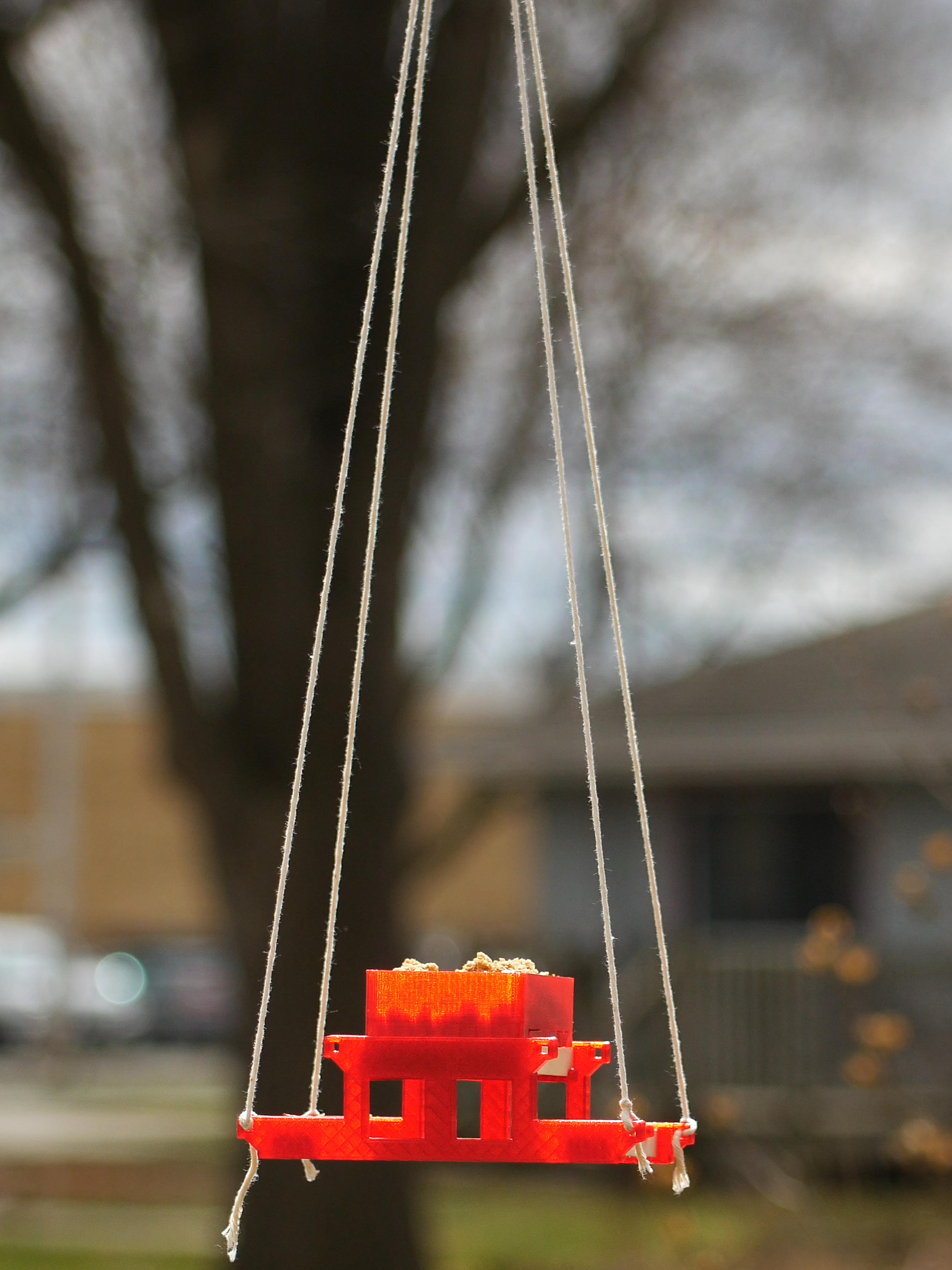 Backyard animal table — thumbnail 2