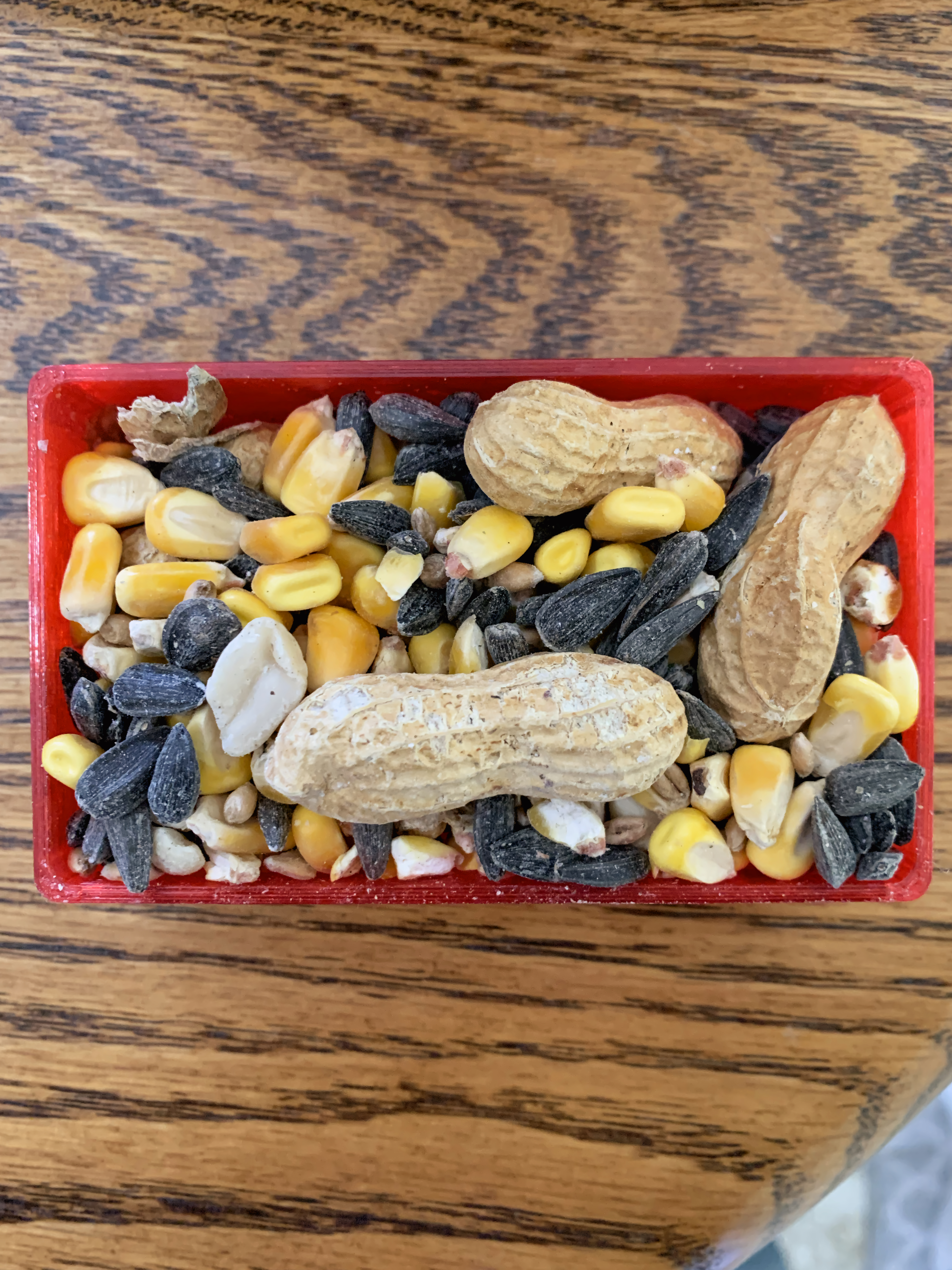 Backyard animal table — thumbnail 5