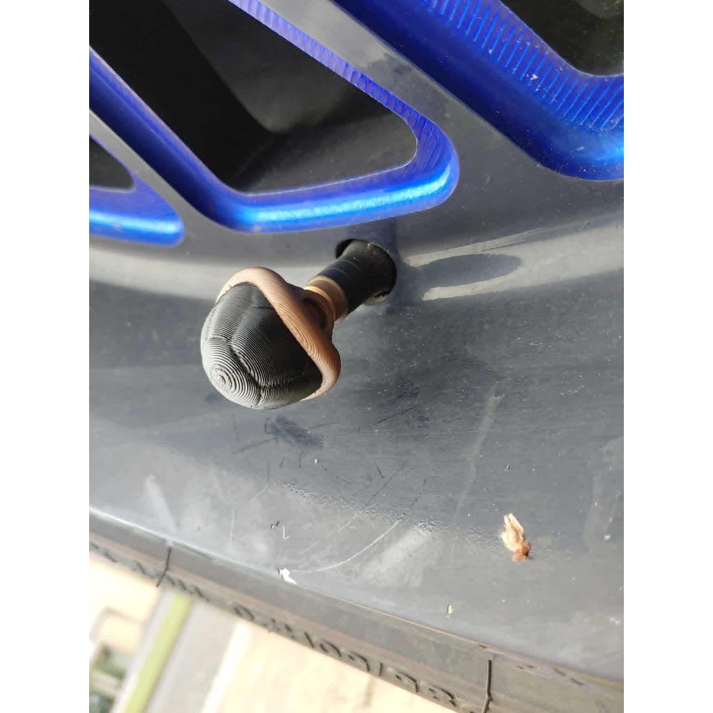 Turtle Shell Valve Cap Schrader