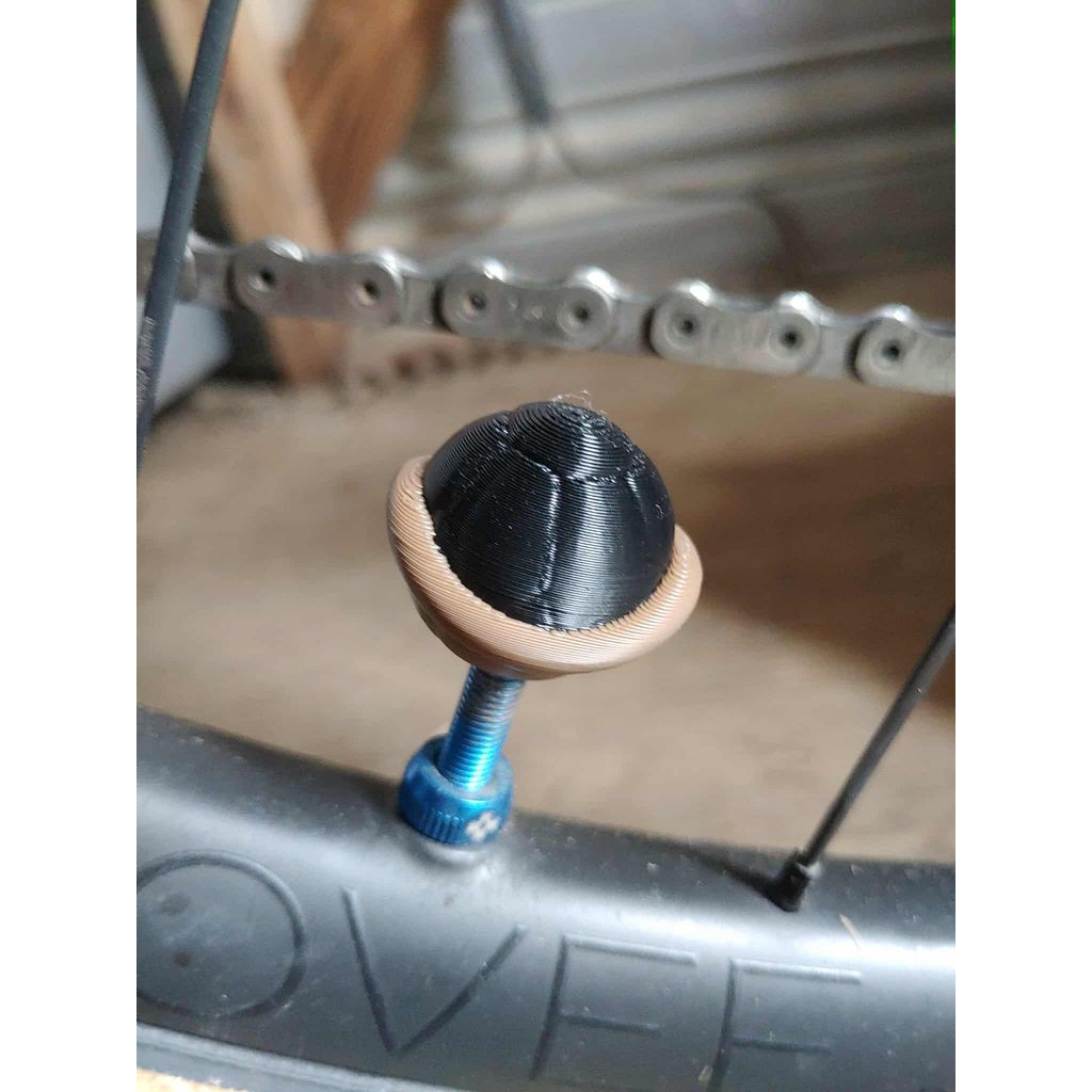 Turtle Shell Valve Cap Presta
