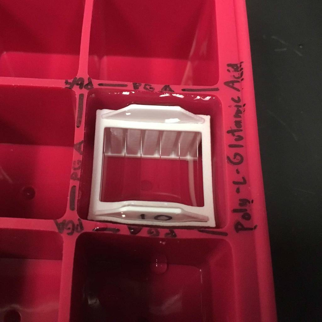 Coverslip Holder (22 x 22 mm) by Matthew B Download free STL model