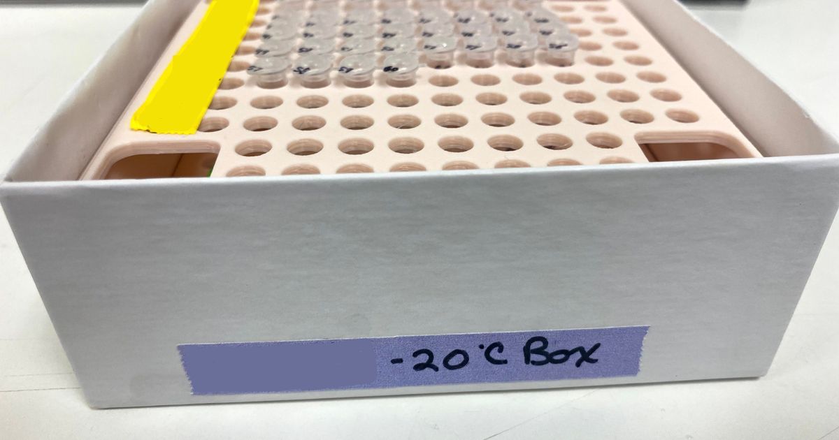 Freezer Box Insert for 0.2 mL PCR Tubes \u0026 Tube Strips by Matthew B | Download free STL model ...