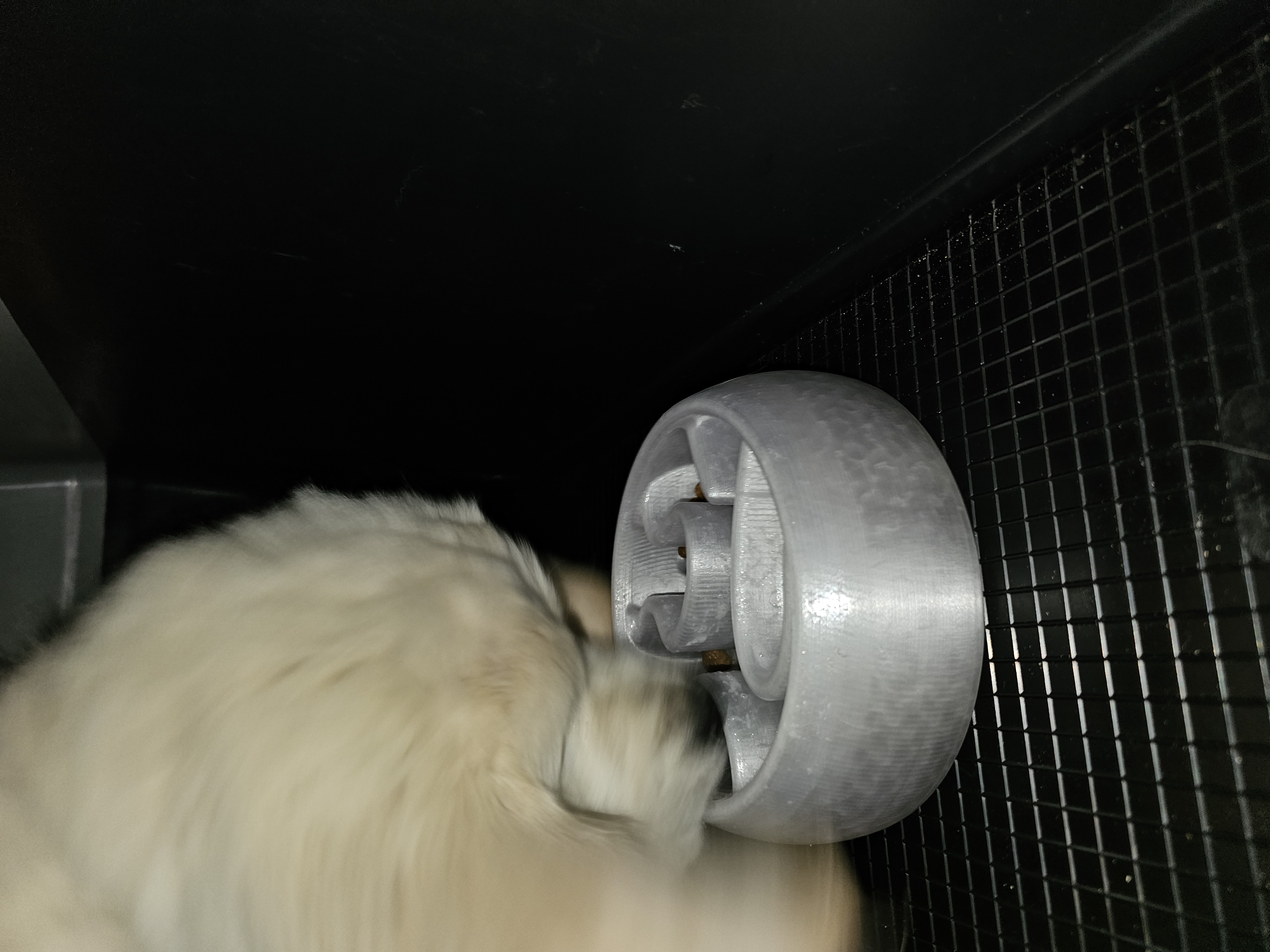 Slow Dog Feeder Puzzle [Easy/Puppy] — miniatura 4