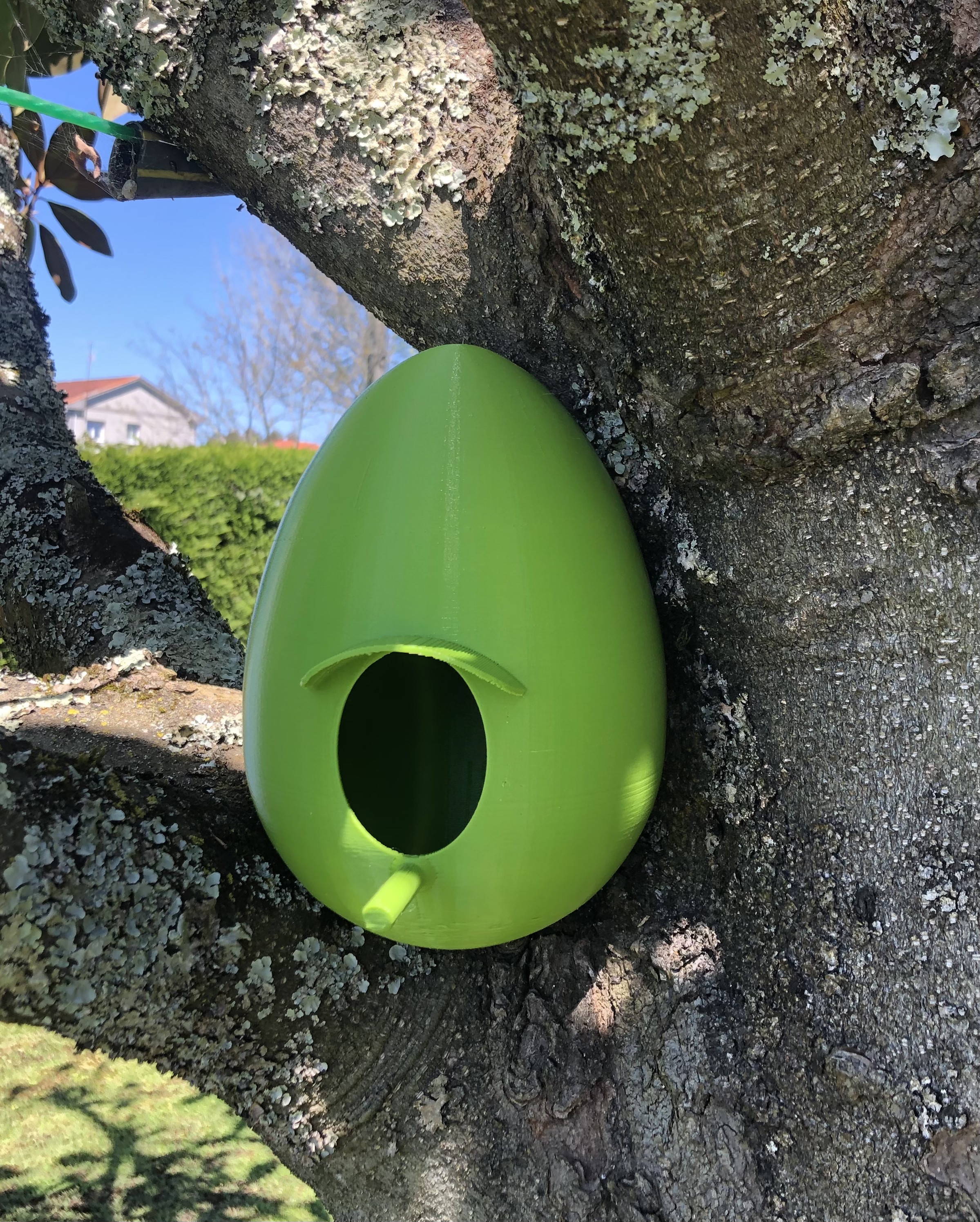 Miniatura 6 do modelo 3D Easter Egg Bird Tree House Avocado