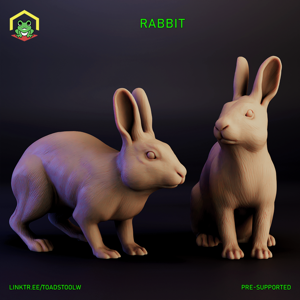 Rabbit