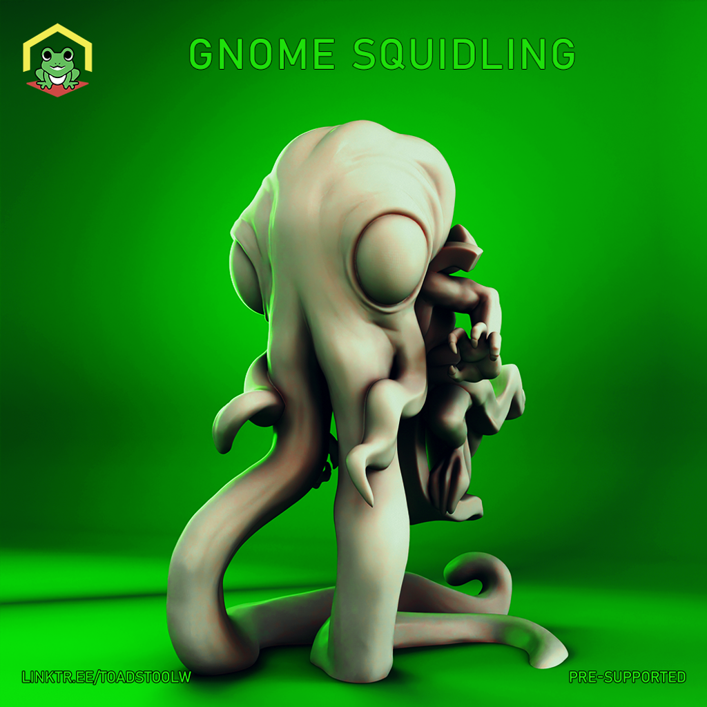Gnome Squidling