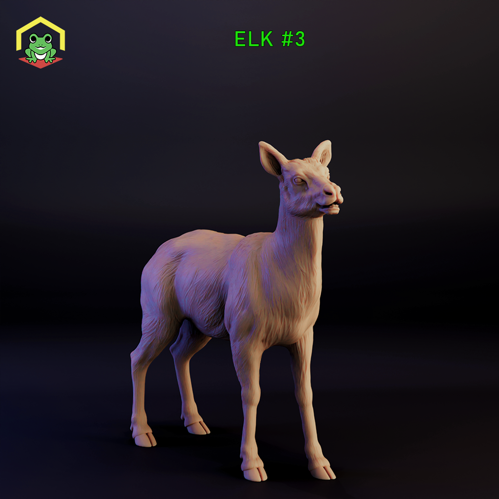 Elk - female