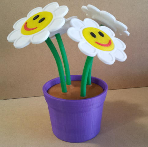 Smiley flowers in pot