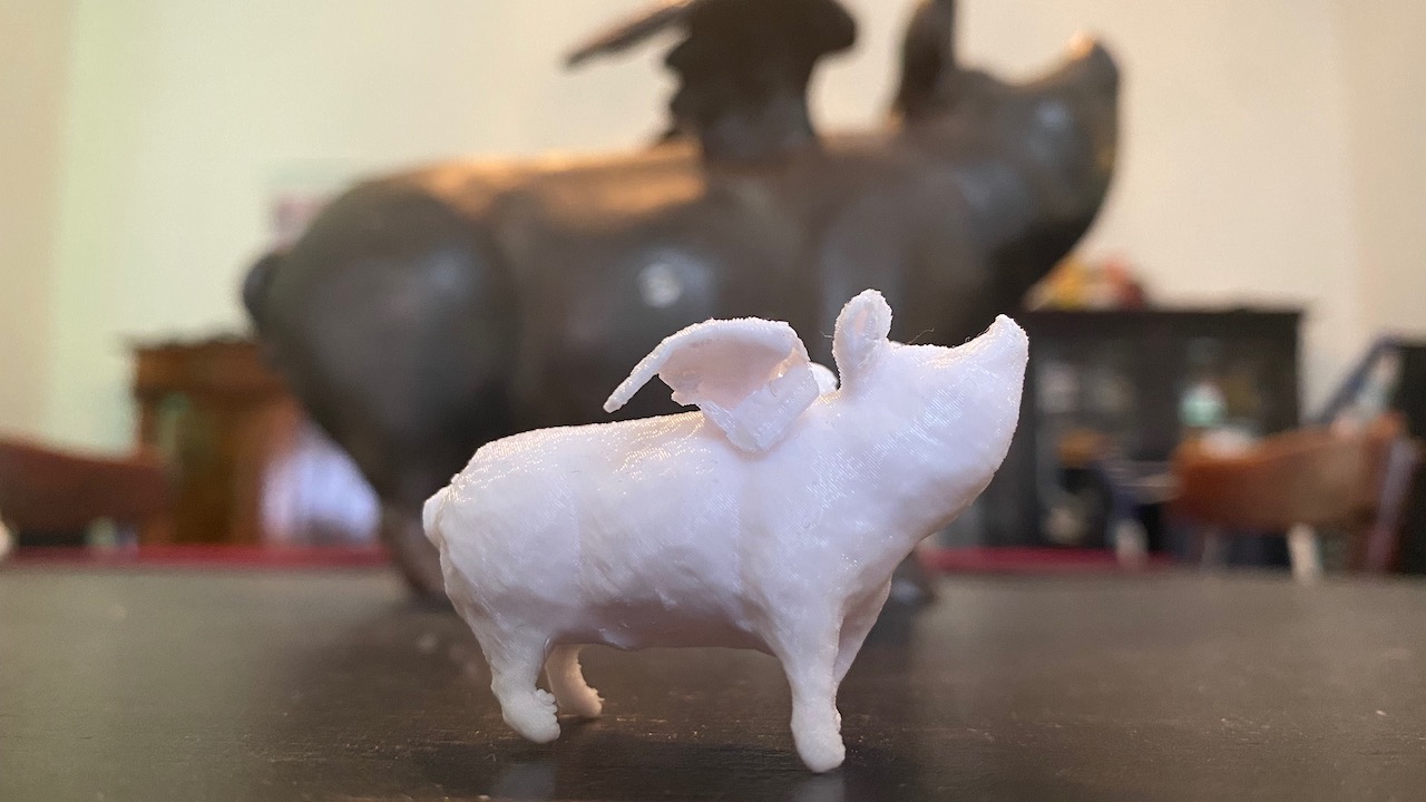 Flying Pig