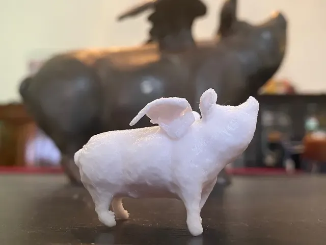 Flying Pig