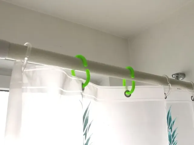 Shower Hook