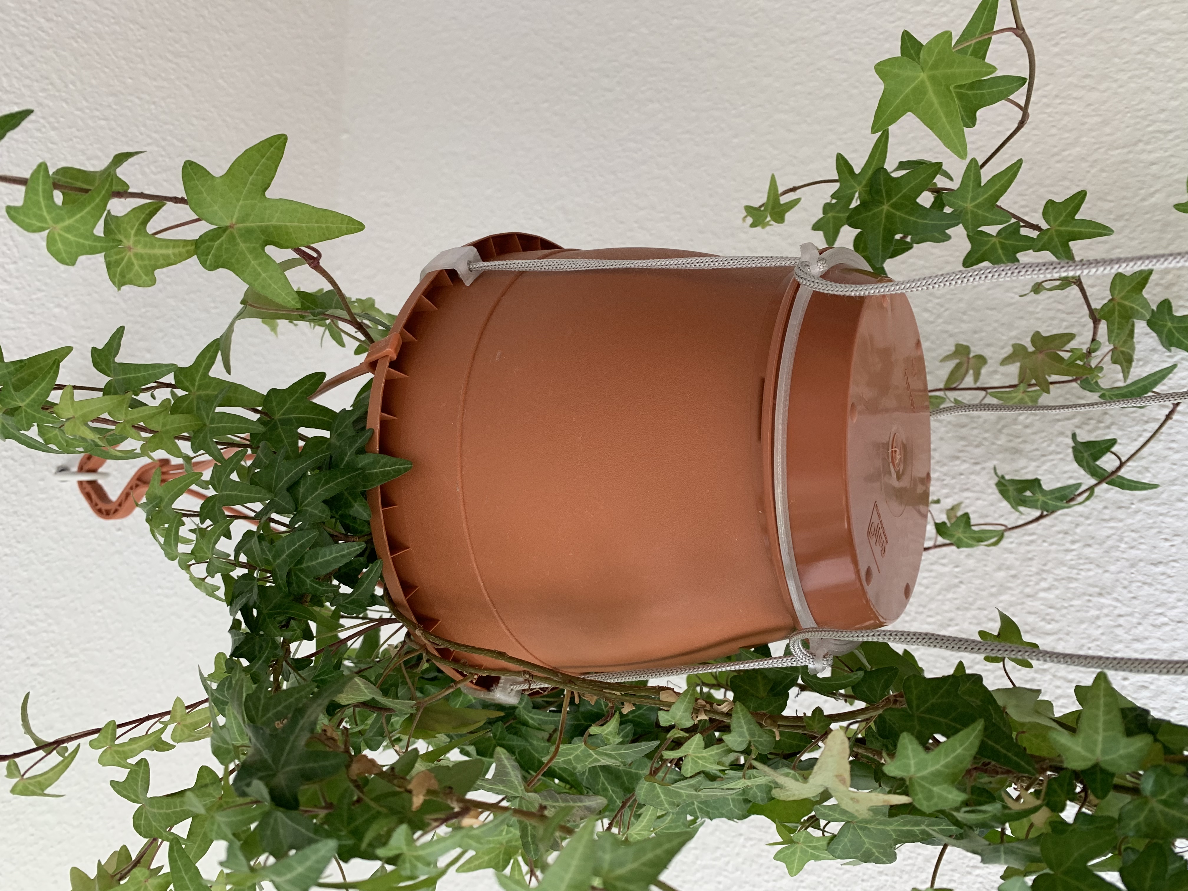 Hanging Flower Pot saucer Attachment