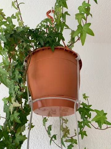 Hanging Flower Pot saucer Attachment