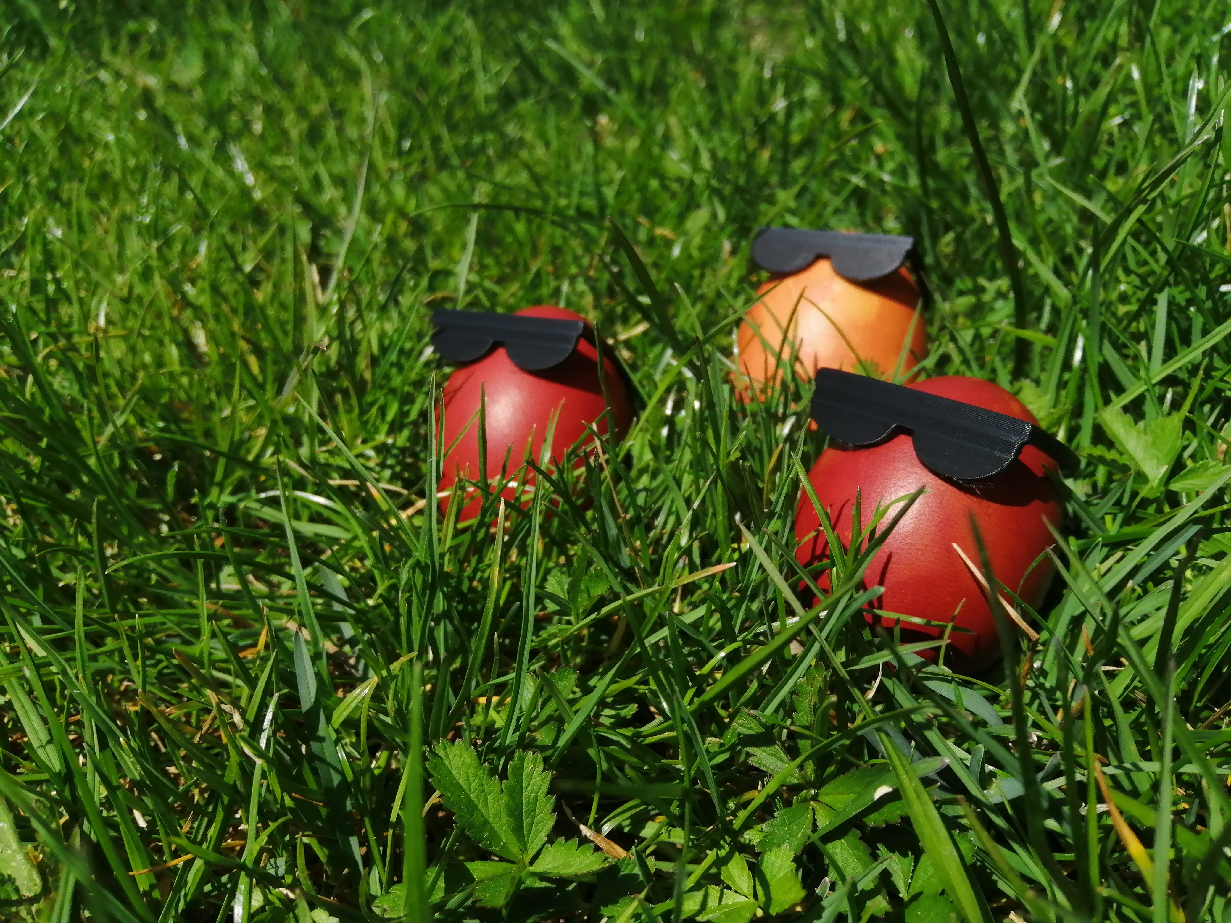 Cool sunglasses