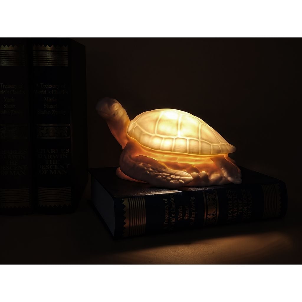 Miniatura 2 do modelo 3D Sea Turtle Lamp