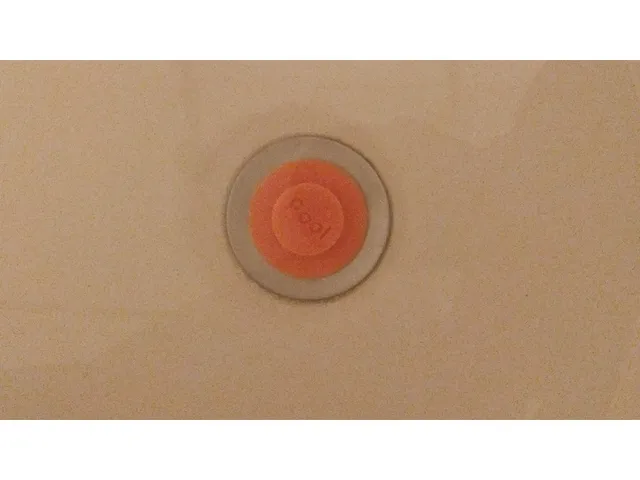 Shower Cap