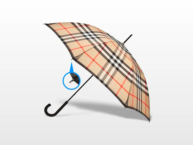 Vertex cap for burberry umbrella