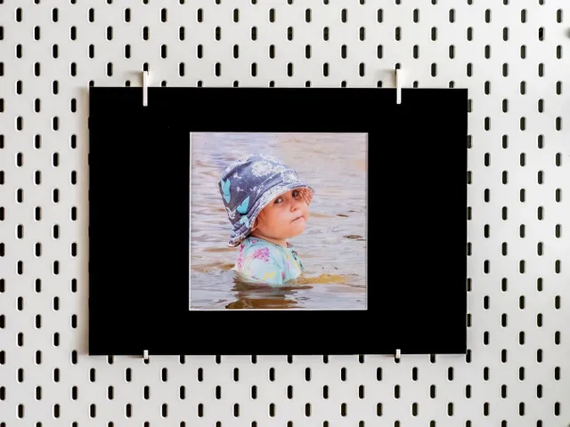 GALLERY HOOKS FOR MOUNTED PRINTS - IKEA SKADIS