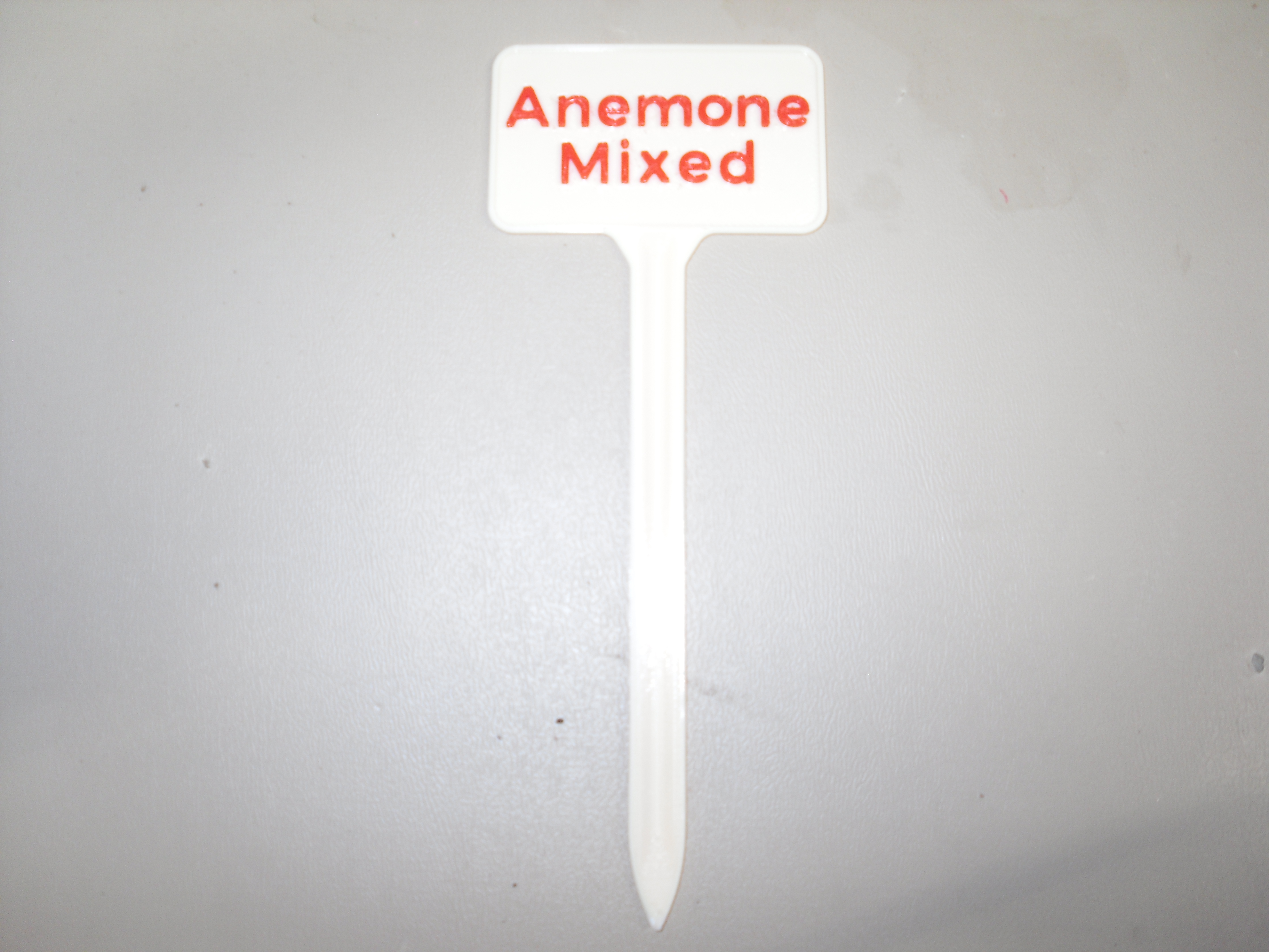Plant Label Anemone Mixed