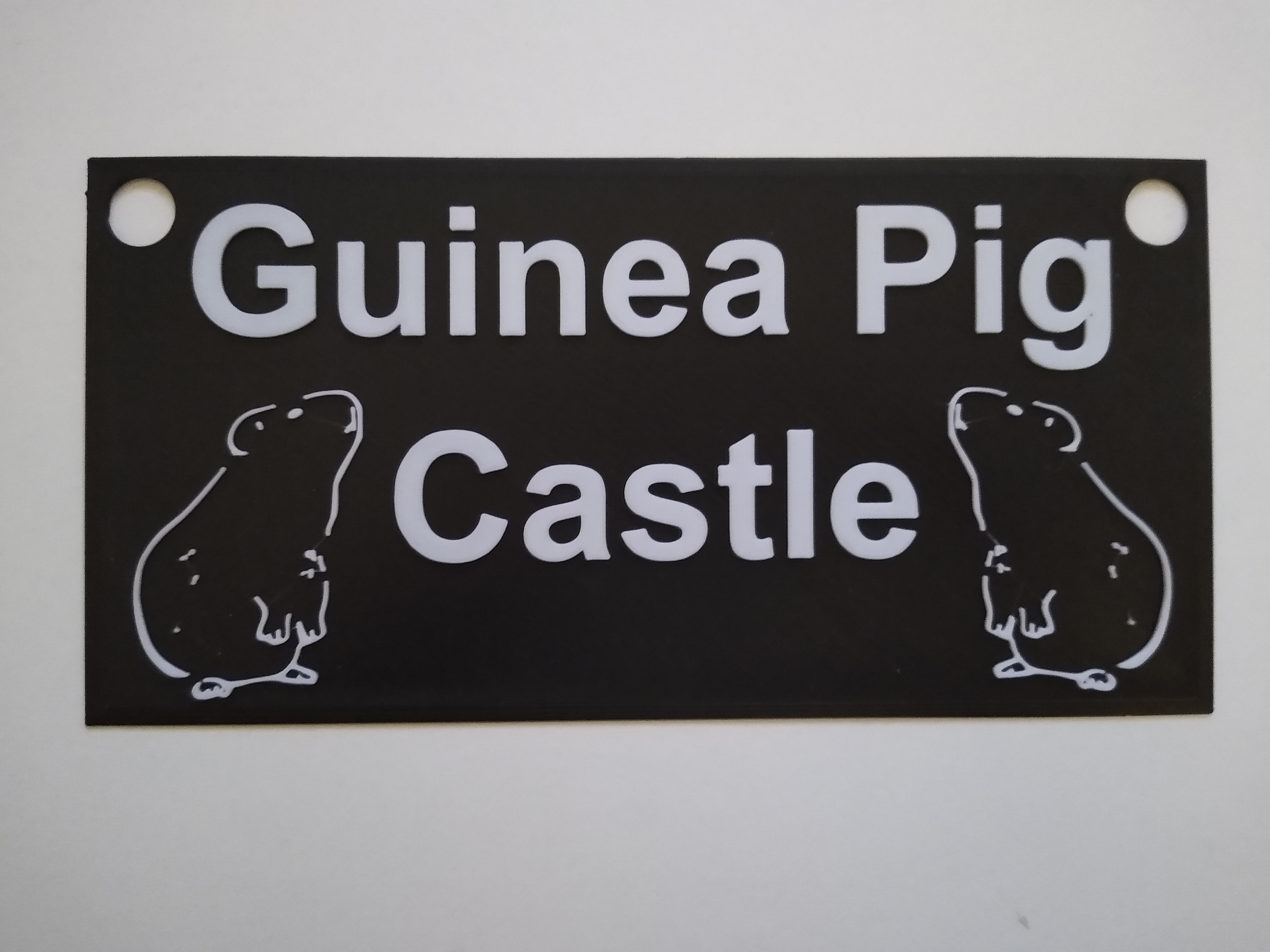 "Guinea Pig Castle" Sign