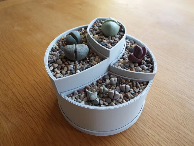 Curved segment pot with tray