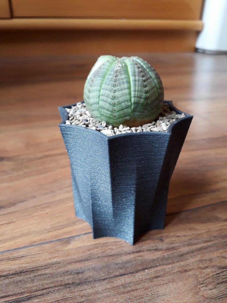 Miniatura 5 do modelo 3D Octopot - Octagonal Rounded Plant Pot 
