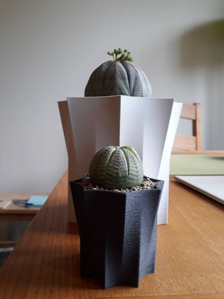 Miniatura 6 do modelo 3D Octopot - Octagonal Rounded Plant Pot 